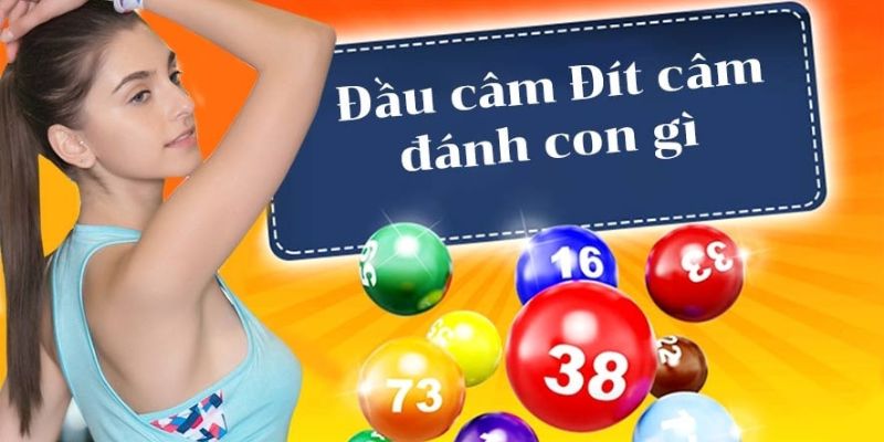 Cược con trượt với đầu câm, đít câm