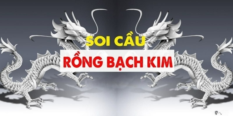 Đôi nét review tổng quan về Rongbachkim