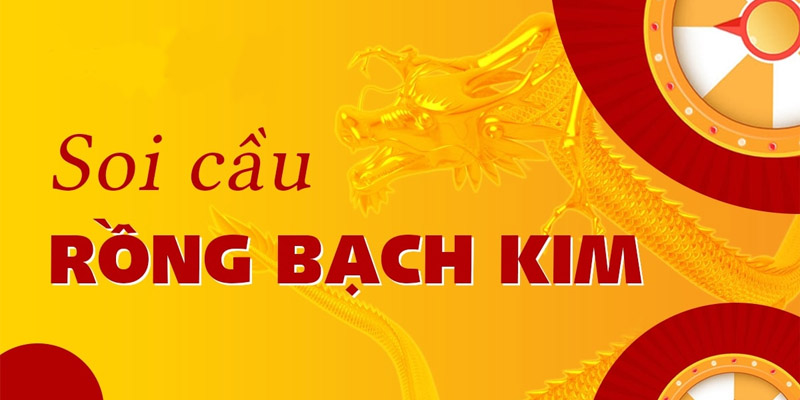 Cách Sử Dụng Rồng Bạch Kim Chính Xác 100 Hiệu Quả