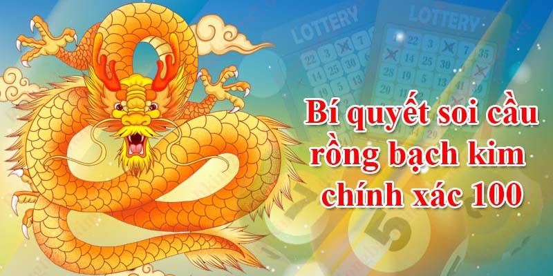 Rồng Bạch Kim Chính Xác 100: Phương Pháp Soi Cầu Miễn Phí