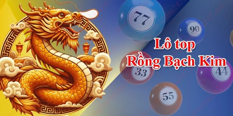 Lô Top Rồng Bạch Kim – Bí Quyết Chơi Lô Đề Chính Xác